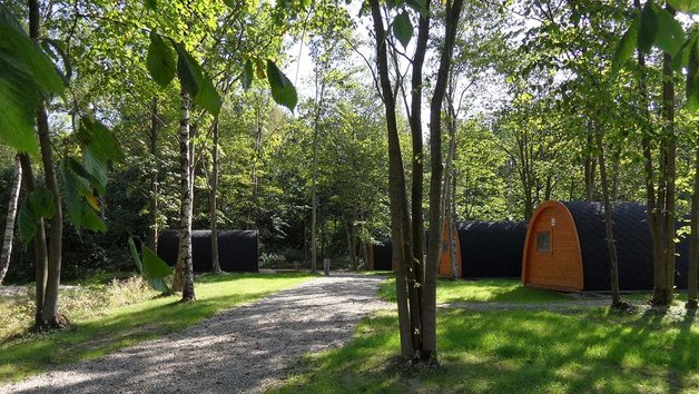 Camping-Pods im Grünen bei Nord-Ostsee Camp